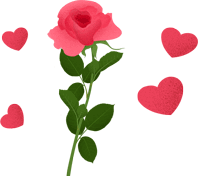 玫瑰花 玫瑰花